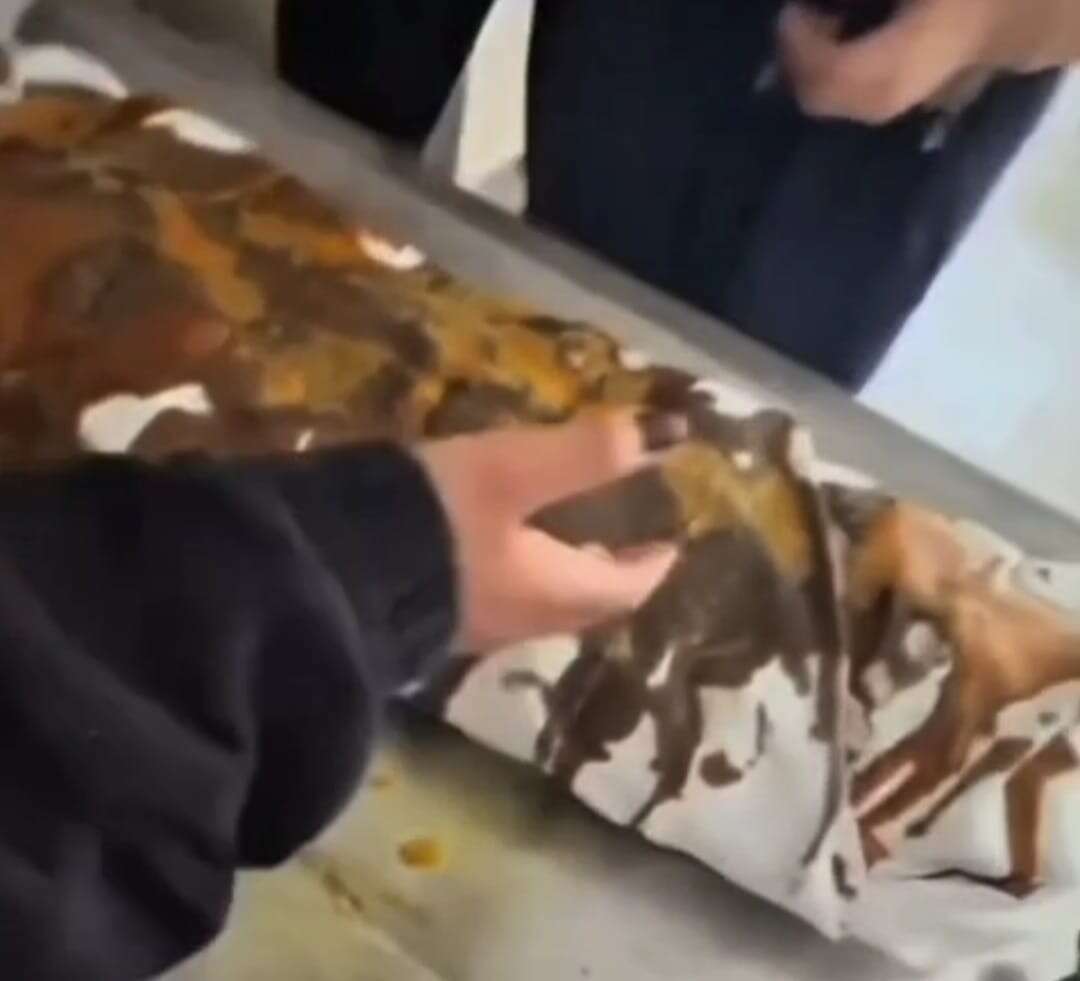 Muğla’da Terk Edilen Hastane Utanç Vesilesi Oldu 3